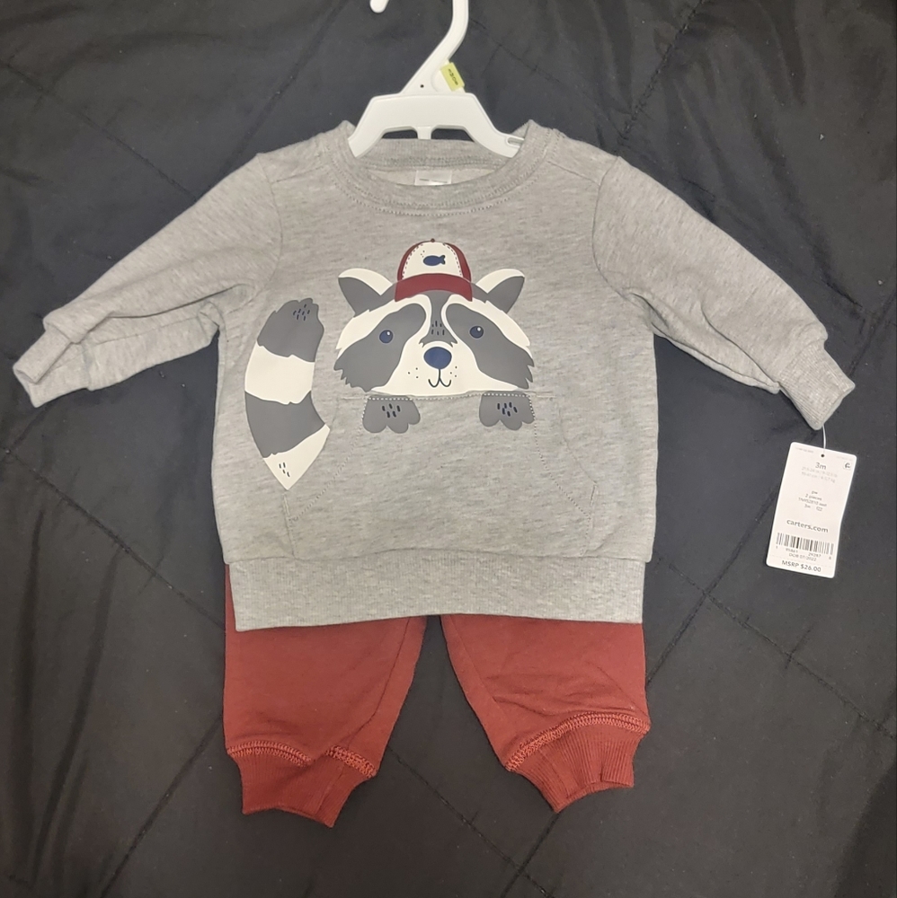 Carter's Baby Boys Raccoon Pullover and Joggers, 2 Piece Set